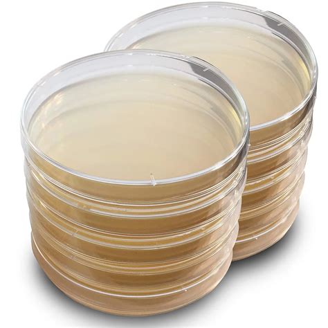protocol plate|lb agar plates protocol.